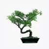 product-image-2_optimized