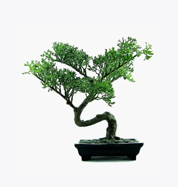 product-image-2_optimized