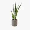 product-image-6_optimized